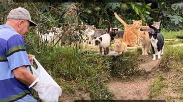 Reprodução / Instagram