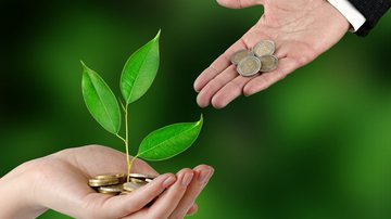 Imagem Junho verde: Banco do Brasil detalha importância de se investir em iniciativas sustentáveis nas empresas