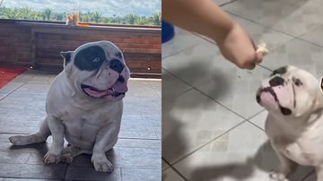 Reprodução/ TikTok