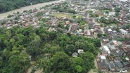 Reprodução Organics Bahia