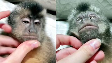 Reprodução/Instagram @detdanskekongehus