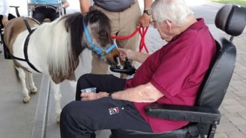 Reprodução / Fireside Home Care LLC