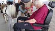 Reprodução / Fireside Home Care LLC