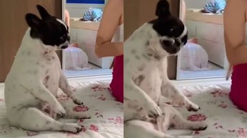 Reprodução/TikTok @lariimmelo