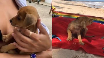 Reprodução/TikTok @luaeeee