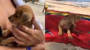 Reprodução/TikTok @luaeeee