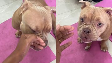 Reprodução/TikTok @izizadoguinha