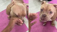 Reprodução/TikTok @izizadoguinha