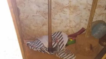 Reprodução/TV Bahia