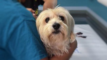 Ilustrativa / Pixabay