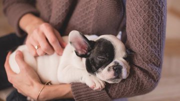 Foto Ilustrativa/Pixabay