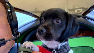 Reprodução / Redes Sociais