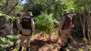 Divulgação/SSP-BA