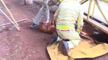 Divulgação / Corpo de Bombeiros