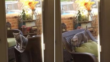 Reprodução / Reddit