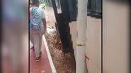 Reprodução/Vídeo