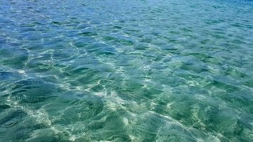 Divulgação /  vanessaobrzut - Pixabay