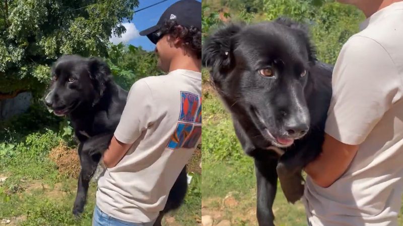 Reprodução/Twitter @MaxPettersonM