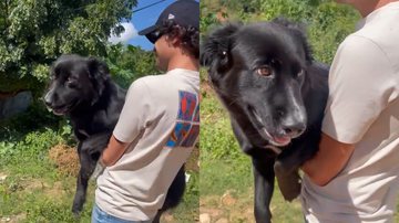 Reprodução/Twitter @MaxPettersonM