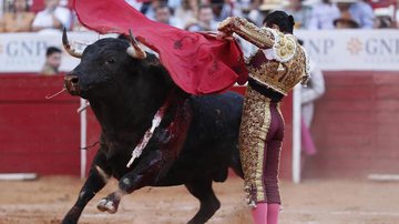 MARIO GUZMÁN/EFE 15/05/2022