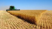 Reprodução/Brasil Agro