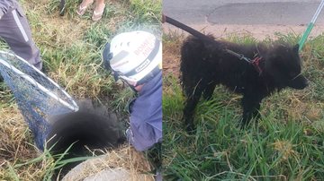 Divulgação/Corpo de Bombeiros