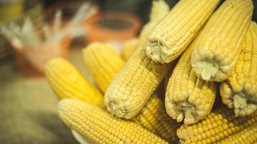 Foto Ilustrativa/Pixabay