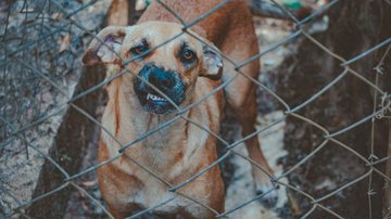 Ilustrativa / Pixabay