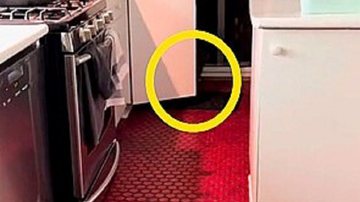 Reprodução / TikTok