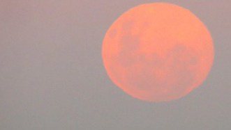 Reprodução Getty Imagens