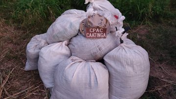 Foto: Divulgação SSP