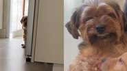 Reprodução/TikTok @carolmiiiranda