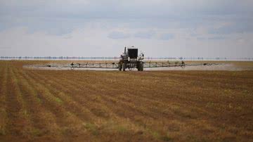 Raul Spinassé/Folhapress