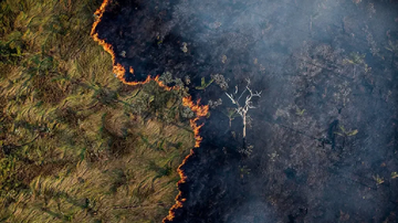 Divulgação/Bruno Kelly/Amazônia Real