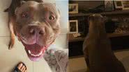 Reprodução / Tik Tok