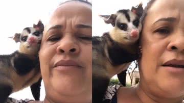 Reprodução/TikTok @vanuza_oliver