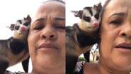 Reprodução/TikTok @vanuza_oliver