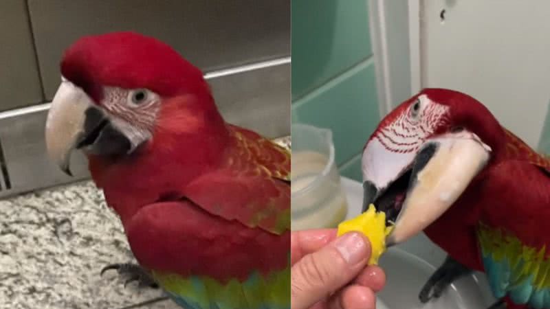 Reprodução / Tik Tok