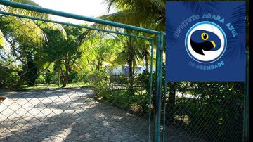 Reprodução // Youtube BNews