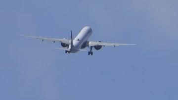 Reprodução // Youtube