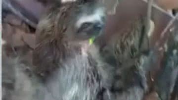 Reprodução/TV Bahia