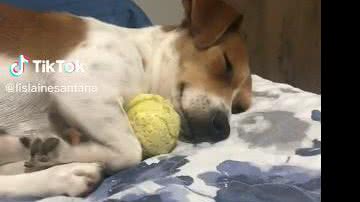 Reprodução// TikTok @lislainesantana