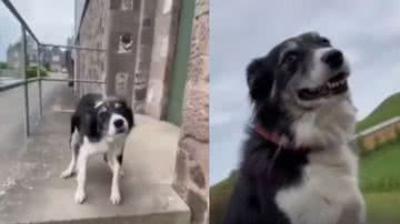 Reprodução / Reddit