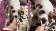 Reprodução/TikTok @manuumariiia
