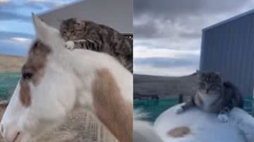 Reprodução / Instagram