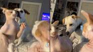 Reprodução / Twitter