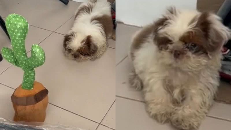 Reprodução/TikTok @mhik_06