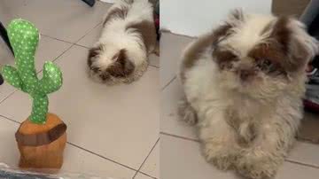 Reprodução/TikTok @mhik_06