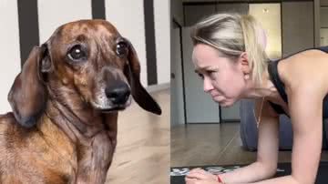 Reprodução / Twitter