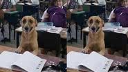 Reprodução / Twitter